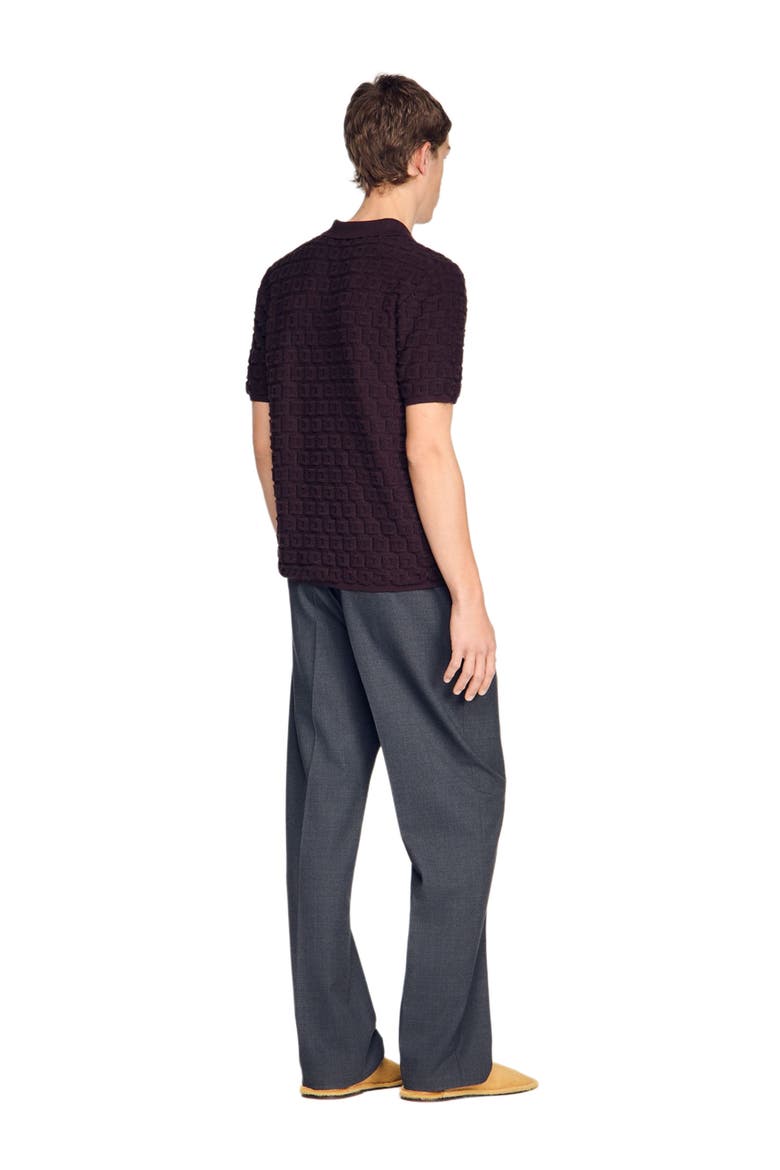 Terry knit polo shirt, Alternate, color, Chocolate