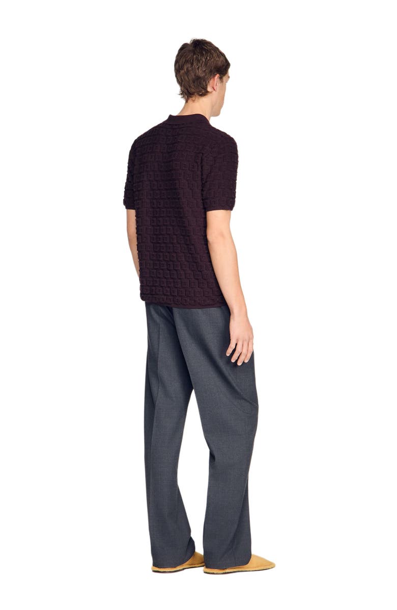 SANDRO Terry knit polo shirt, Alternate, color, Chocolate
