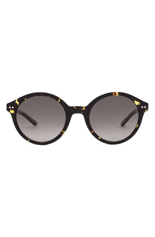 Sito Shades Dixon Polar 52mm Round Sunglasses
