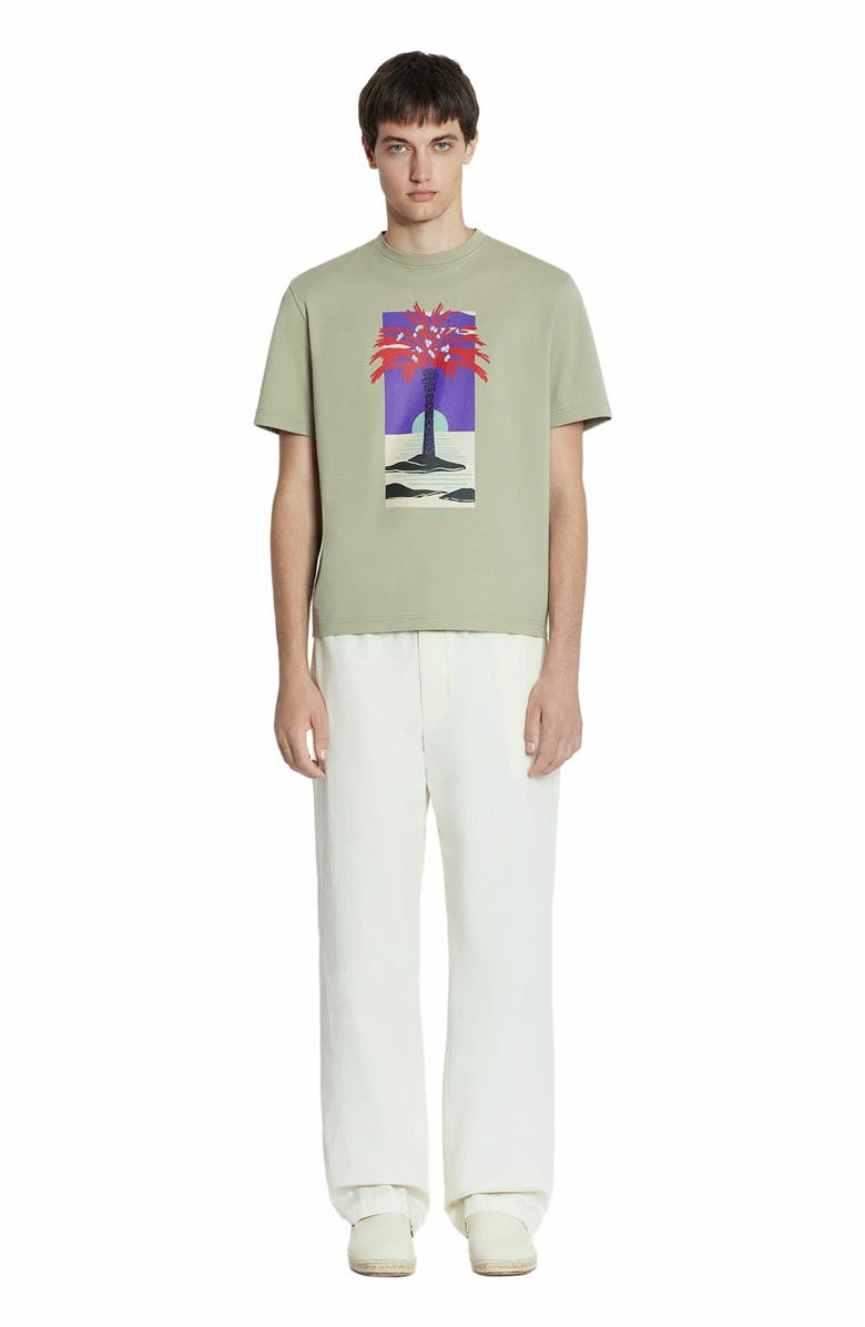 Lanvin Cotton Pants, Main, color, 