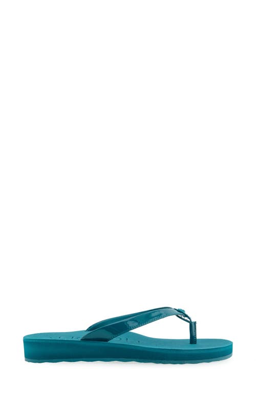 AEROSOLES AEROSOLES JACE FLIP FLOP 