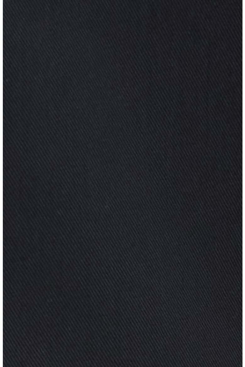 Relaxed Pleated Trousers, Alternate, color, NAVY