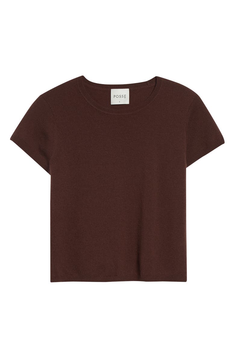 POSSE Freddie Knit Merino Wool & Cashmere T-Shirt, Alternate, color, Chocolate