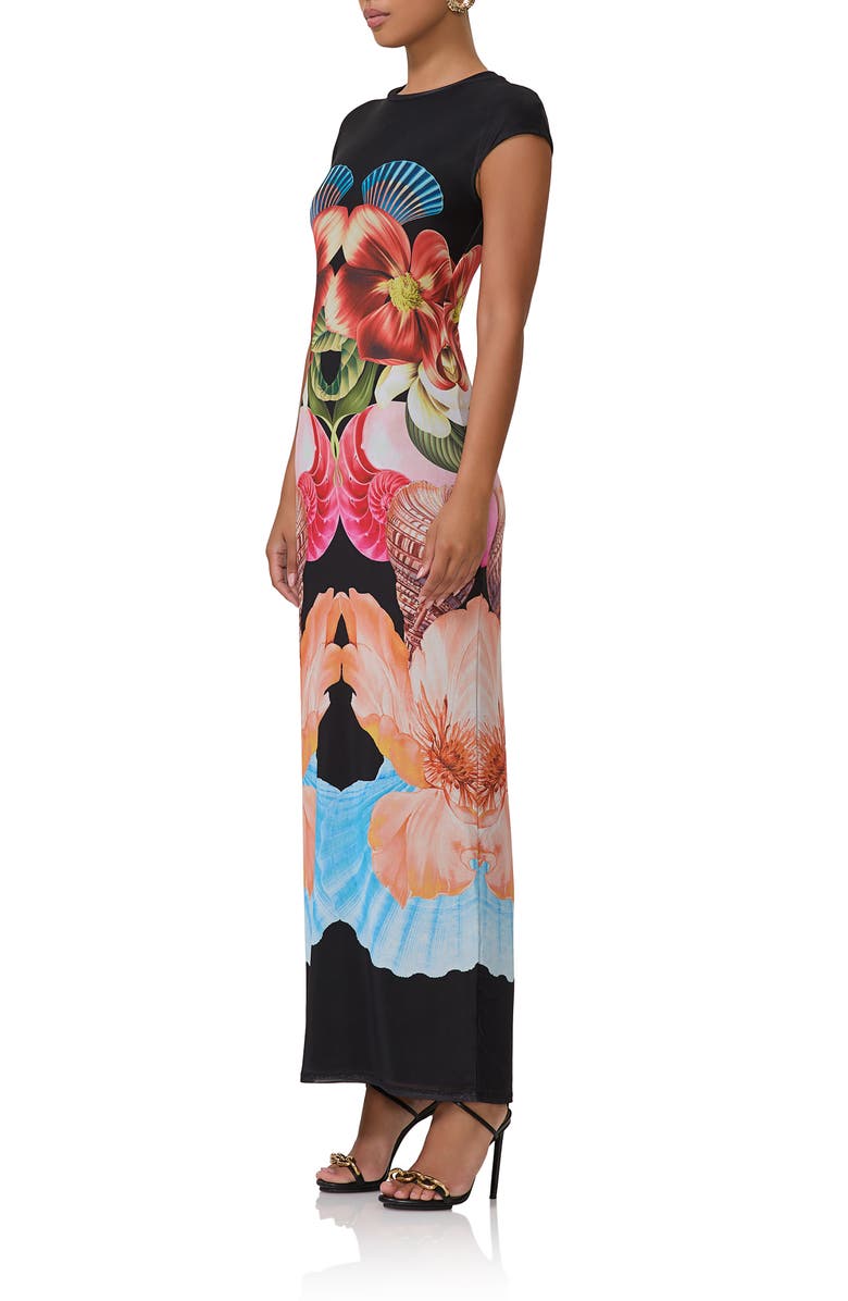 AFRM Cody Print Cap Sleeve Mesh Maxi Dress, Alternate, color, 