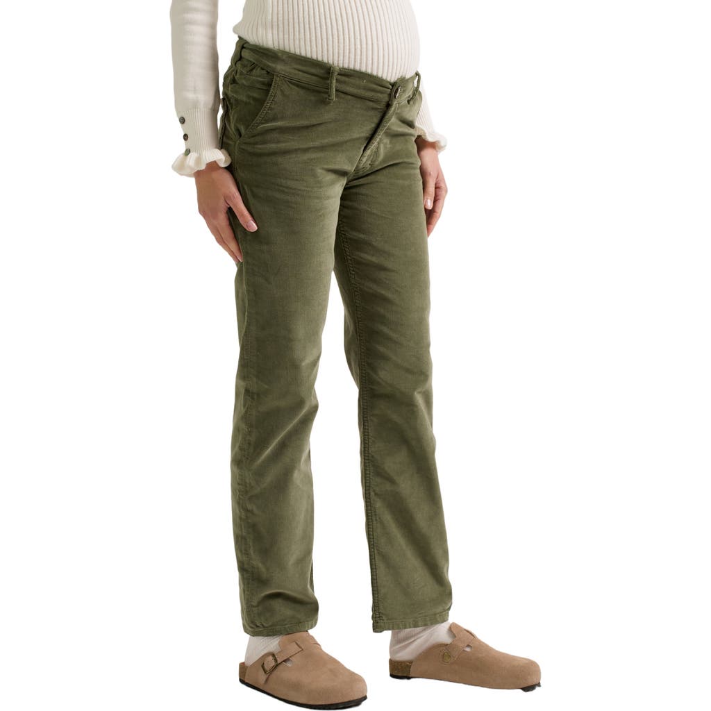 Zzdnu Cache Couer William Maternity Pants In Brown