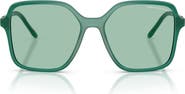 AX Armani Exchange 53mm Butterfly Sunglasses