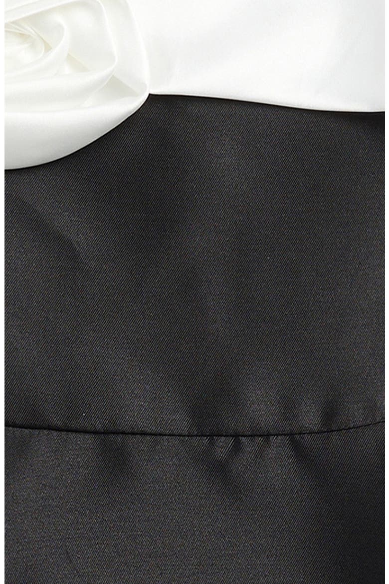 Kids' Rose Appliqu	 Satin Dress, Alternate, color, BLACK