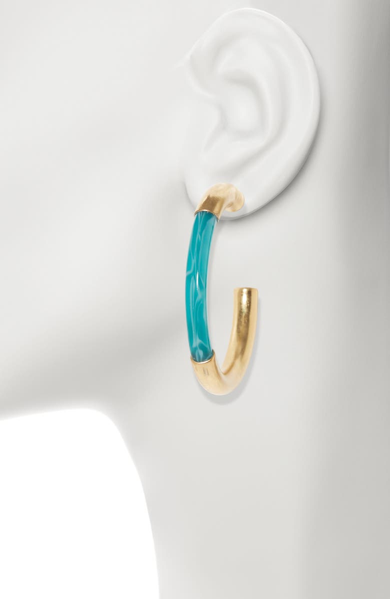 Sole Society Resin Large Hoop Earrings, Alternate, color,