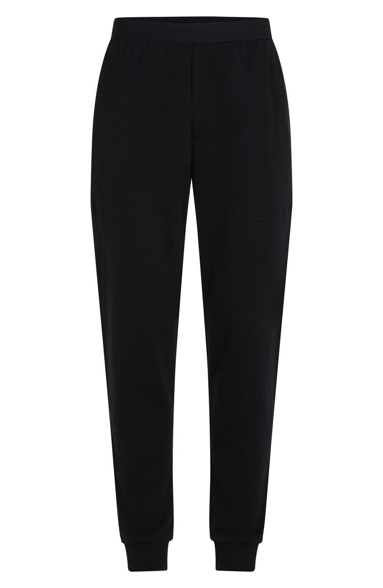 Icebreaker 300 Descender Joggers, Alternate, color, Black