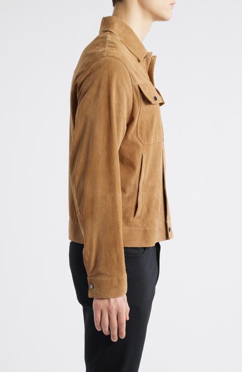 Emporio Armani Perforated Goatskin Suede Jacket In Sand