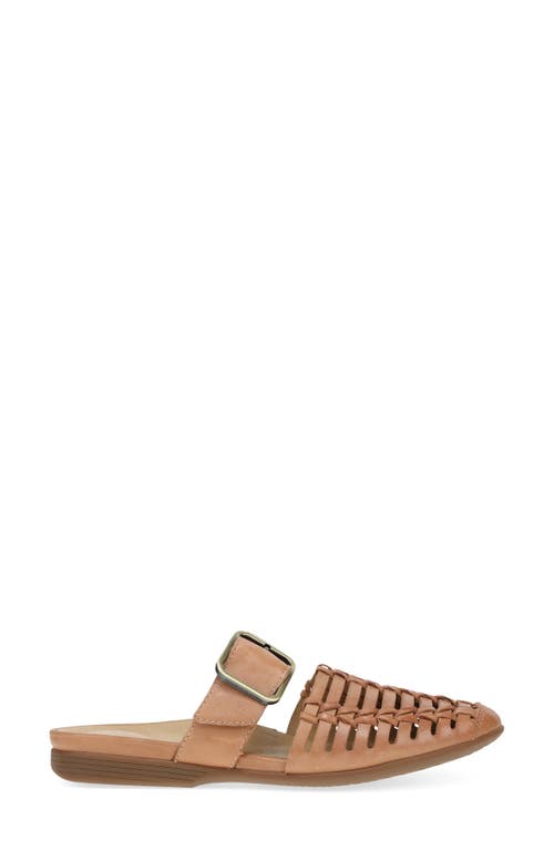 Dansko Leilani Pointed Toe Mule In Light Tan Burnished Nappa