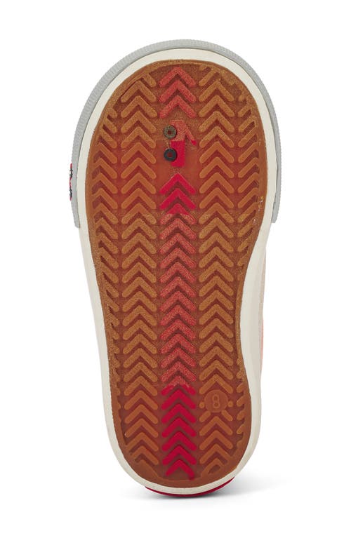 See Kai Run Kristin Sneaker In Multi