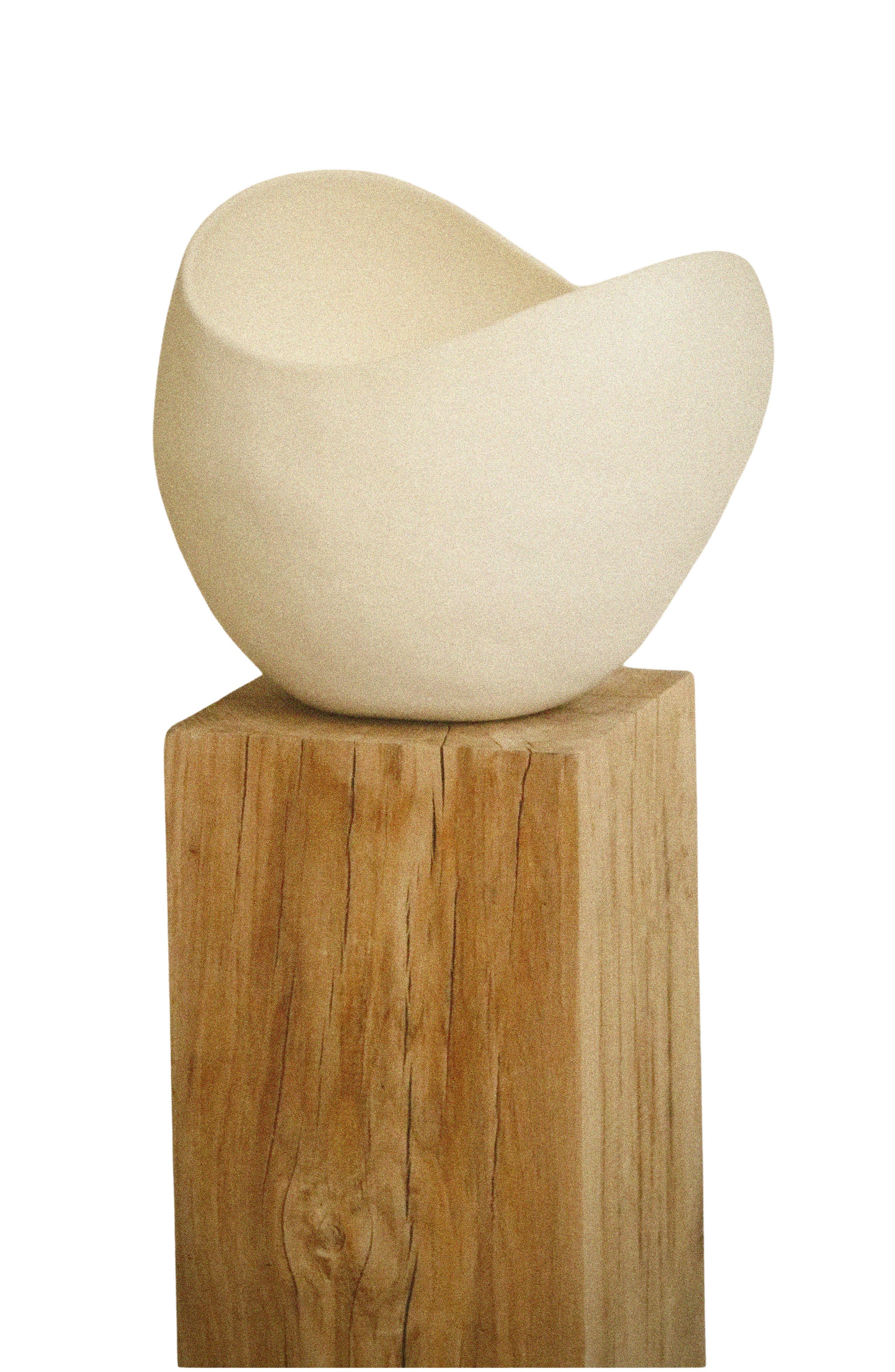 selected EUCALYPTUS WHITE