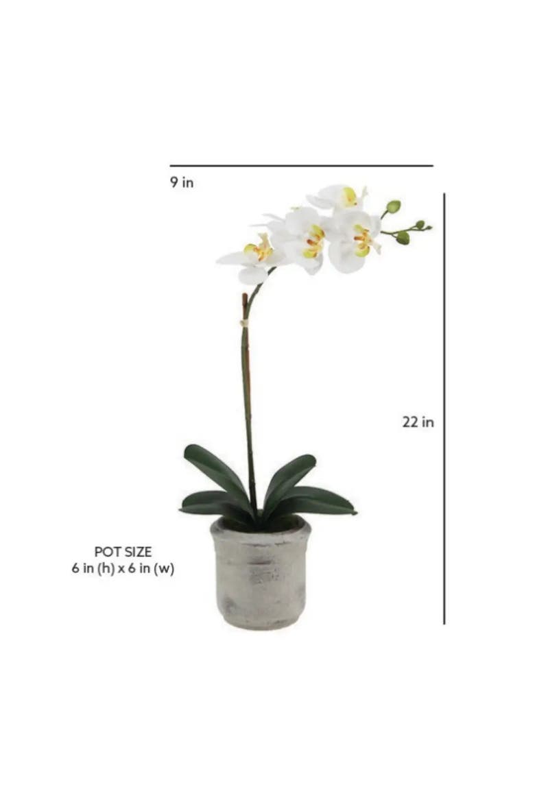 22" Artificial White Phalaenopsis Orchids Set of 2, Alternate, color, White