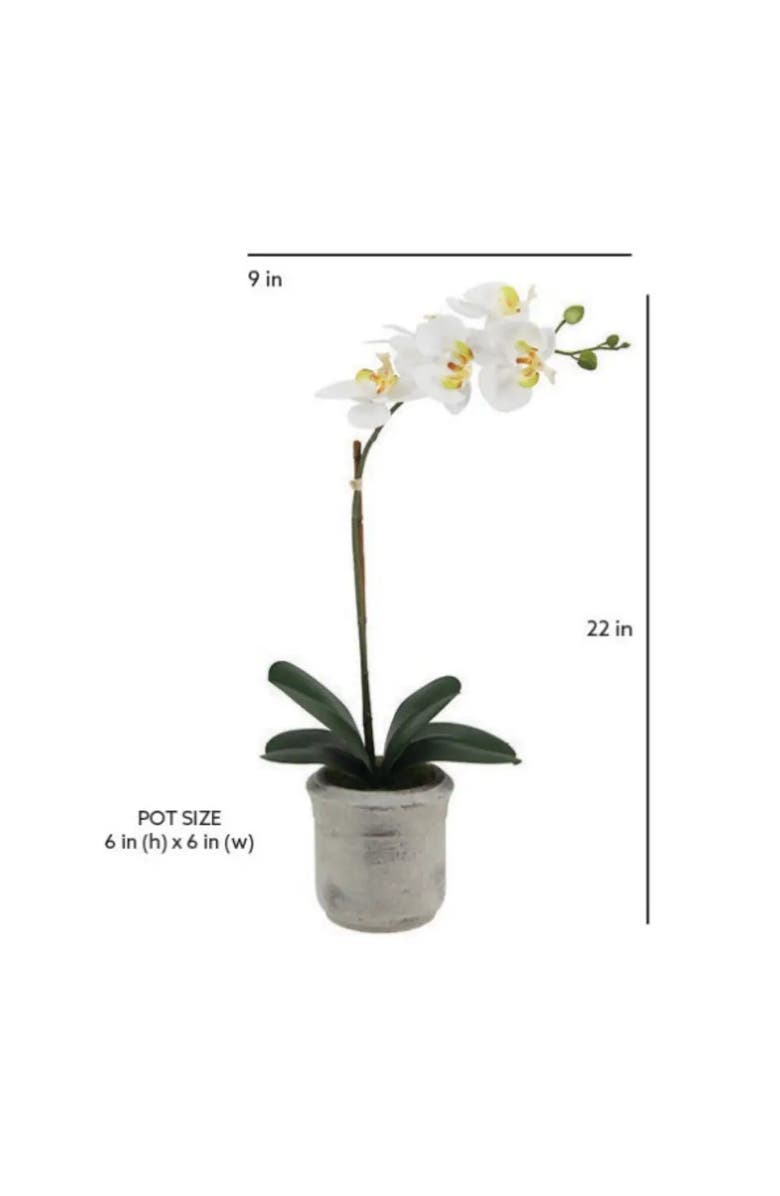 CG Hunter 22" Artificial White Phalaenopsis Orchids Set of 2, Alternate, color, White