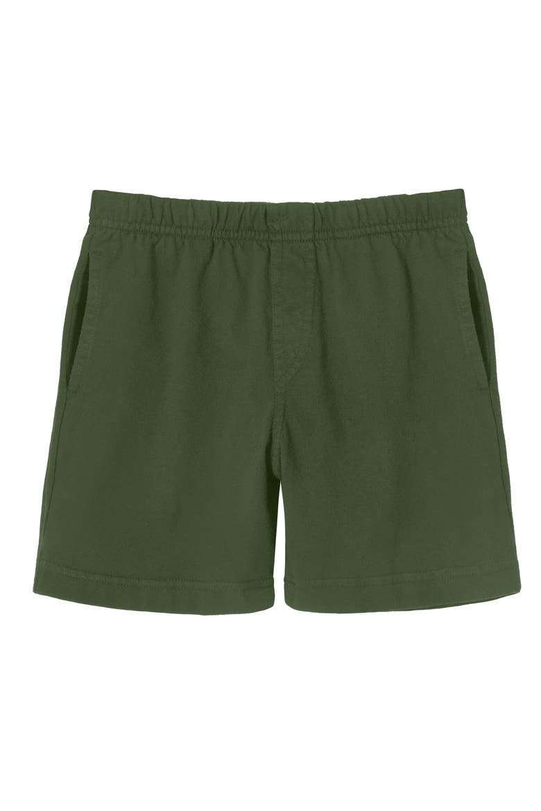 Baby Boys Soft 100% Cotton Above-Knee Side Pocket Shorts, Main, color, Turtle