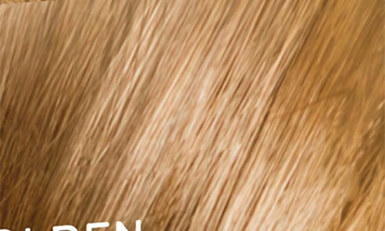8.3 LIGHT GOLDEN BLONDE