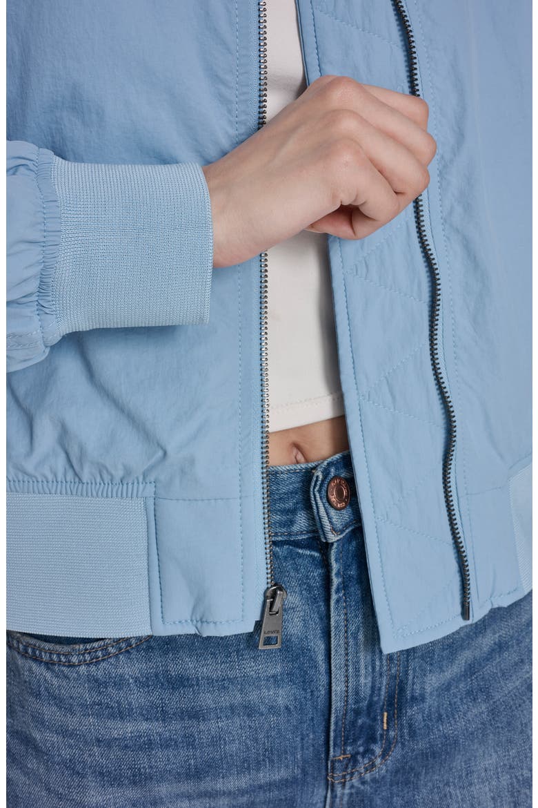 Relaxed Bomber Jacket, Alternate, color, GLACIER BLUE