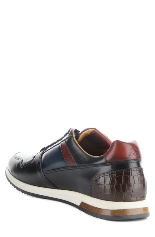 Ambitious 11717 Low Top Sneaker In Multi