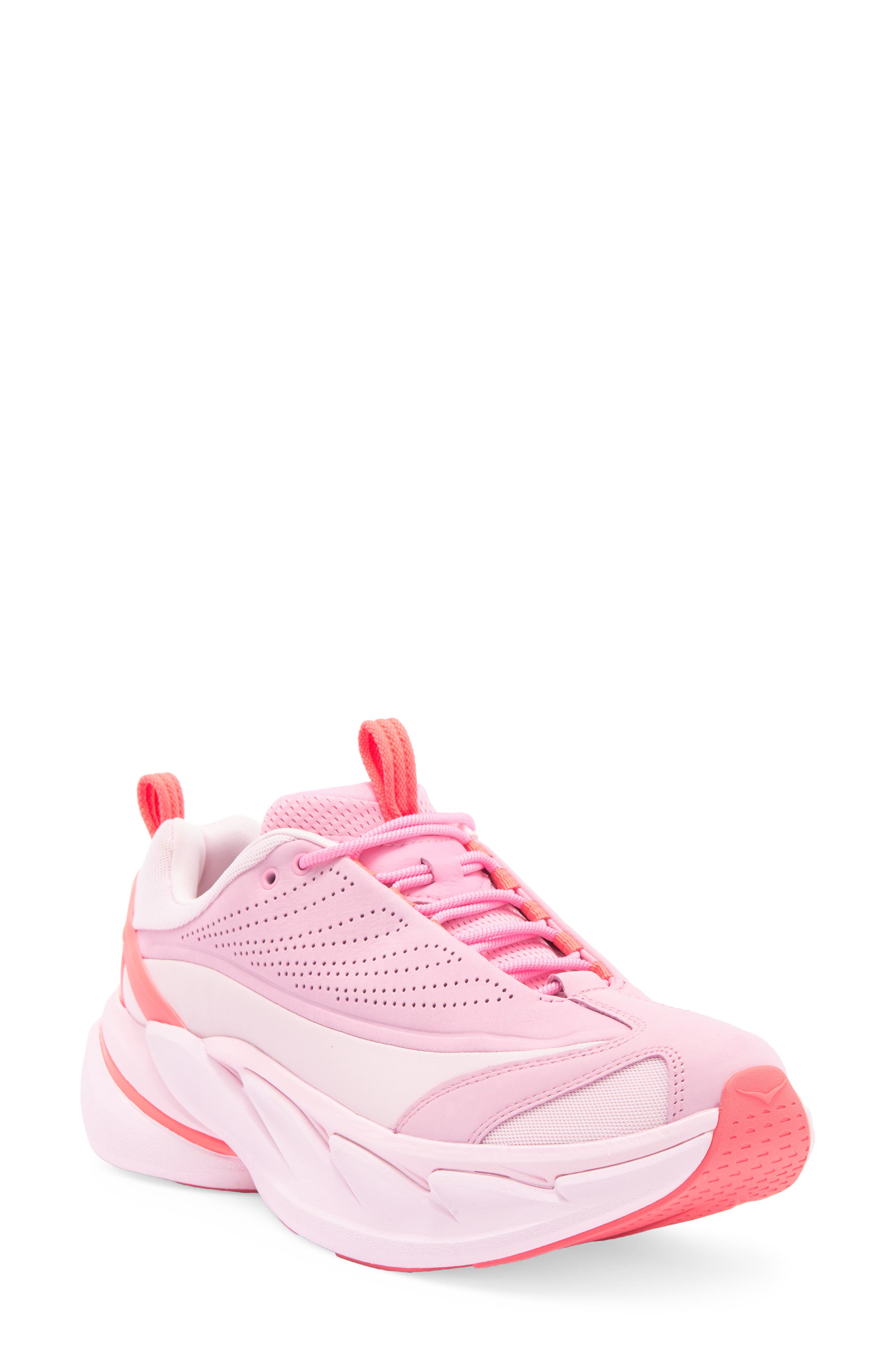  Carnation / Sweet Pea