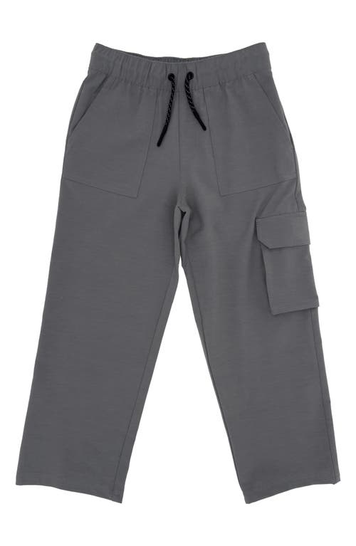 Feather 4 Arrow Kids' Carry-on Water Resistant Tech Cargo Pants In Gray