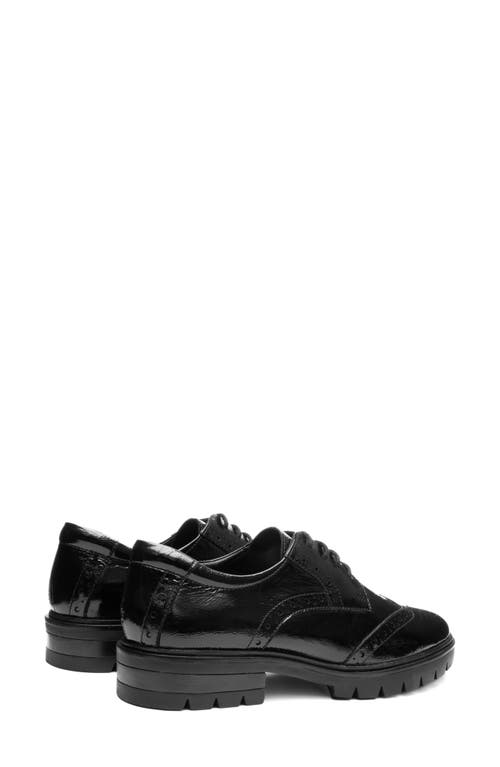 Ara Clementine Wingtip Derby In Black