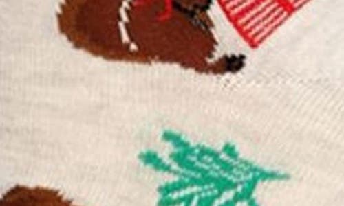 Memoi Winter Skiing Assorted 3-pack Crew Socks In Multi