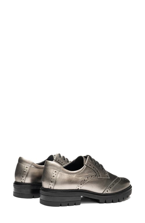 Ara Clementine Wingtip Derby In Brown
