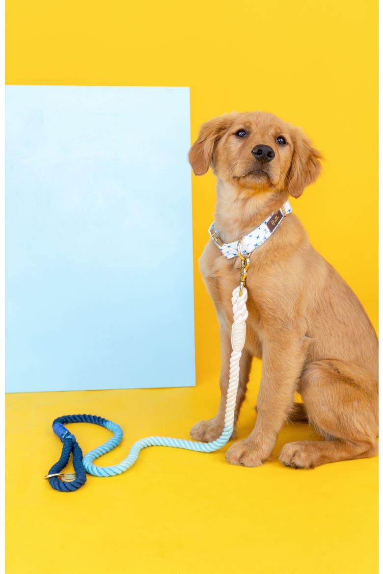 Kennedy Rope Dog Leash, Alternate, color, Kennedy 4ft