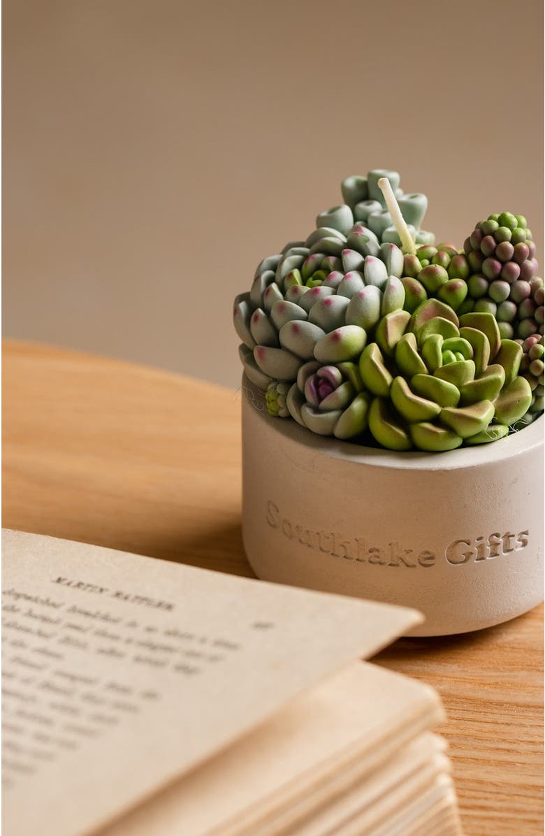 Southlake gifts Succulent Candle in Concrete Vessel, Alternate, color, Jade / Lilac / Sage