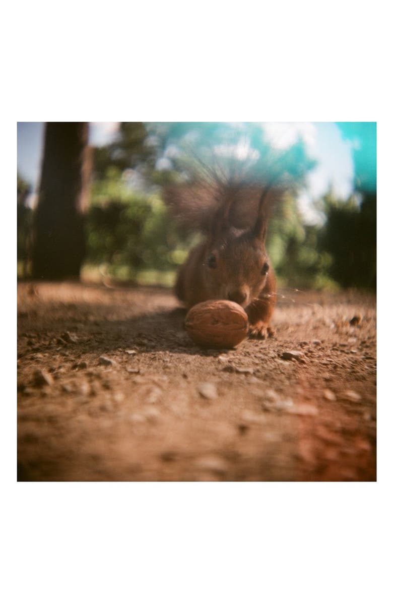 Lomography , Alternate, color, 