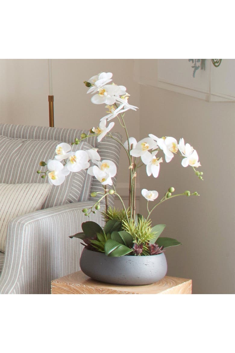 Artificial Orchid with Succulents, Alternate, color, White, green, grey