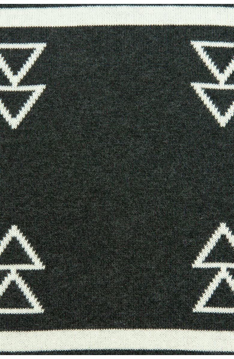 PARKLAND COLLECTION Sioux Southwest Pillow - 20" x 20" - Black, Alternate, color, Black