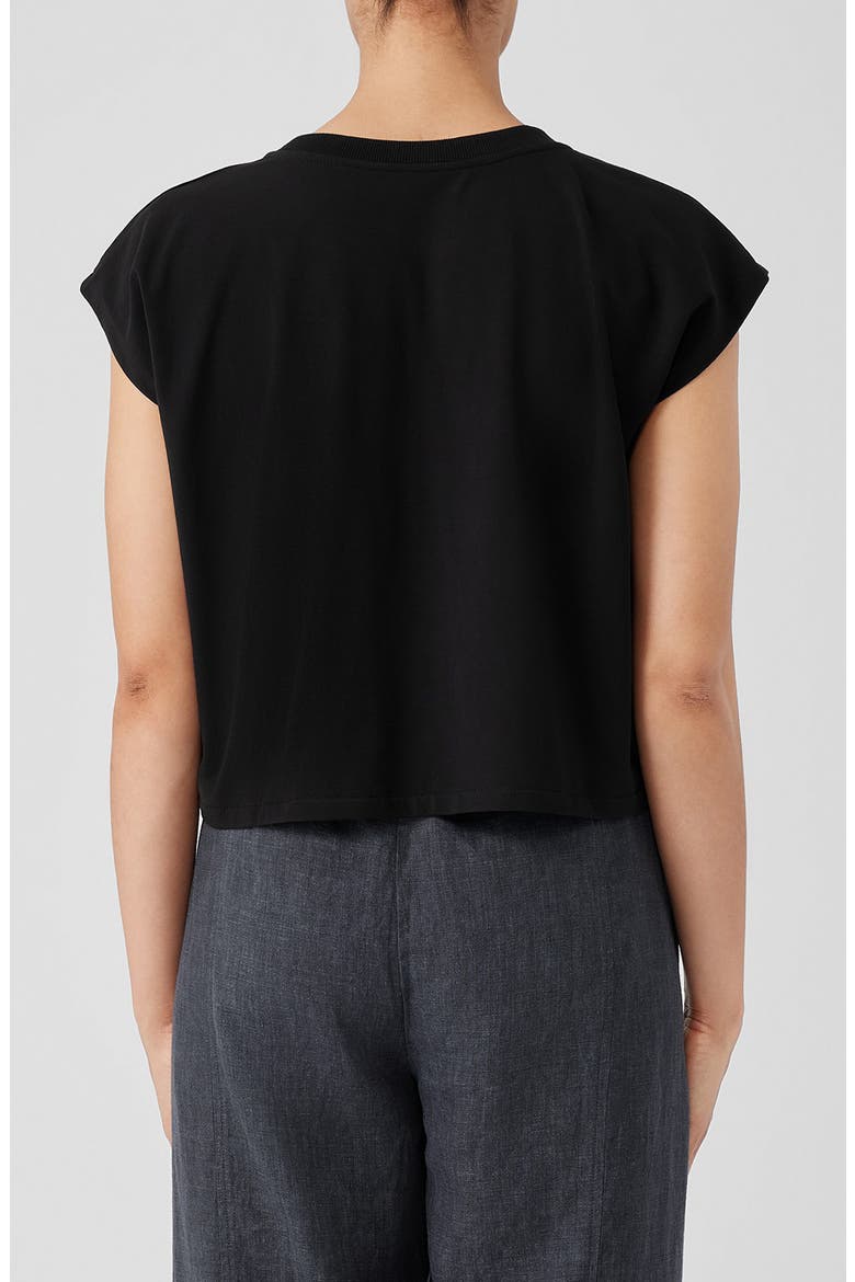 Cap Sleeve Crop T-Shirt, Alternate, color, BLACK