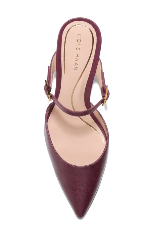 Cole Haan Annalise Pointed Toe Mule