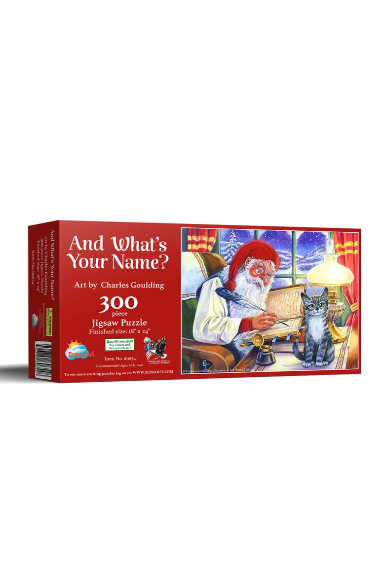 And What's Your Name? 300 piece Jigsaw Puzzle for Adults, Main, color, Multicolor