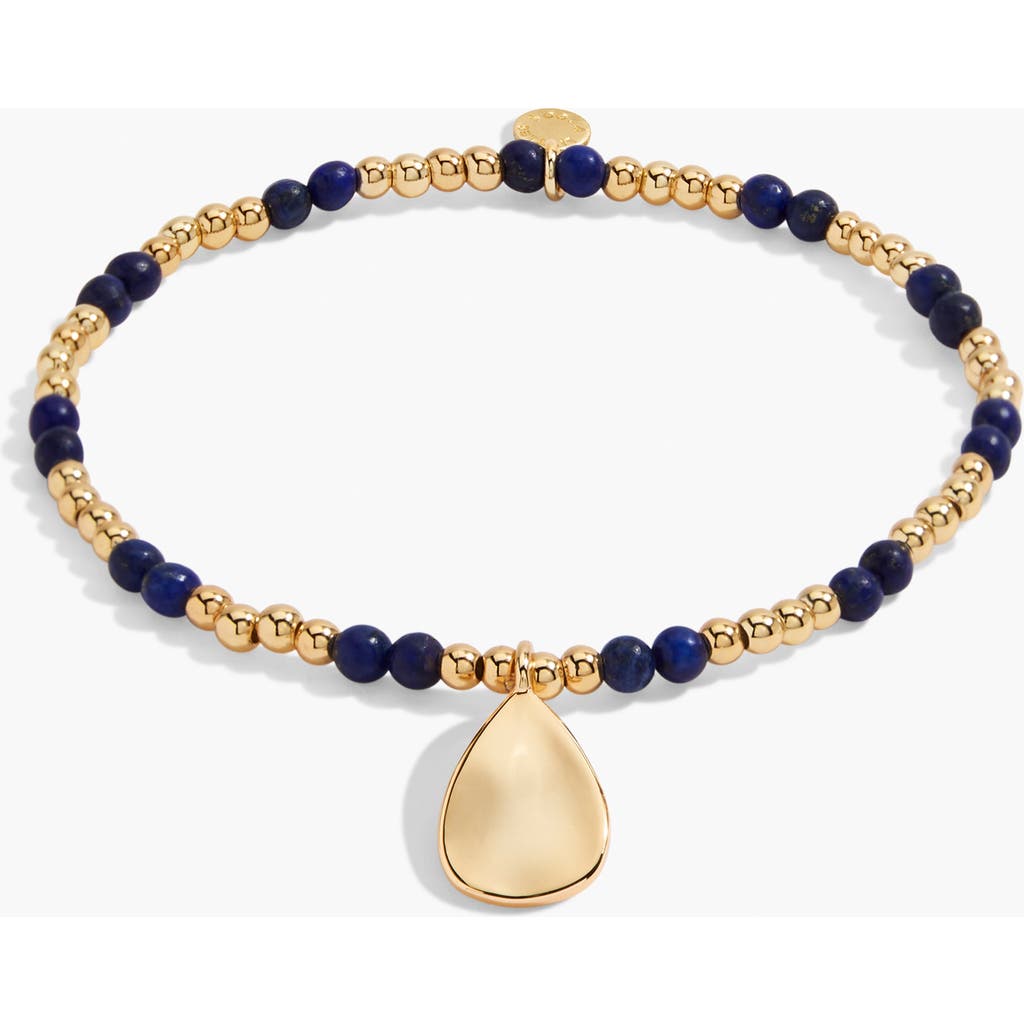 A Littles & Co Birthstone A Little September Bracelet