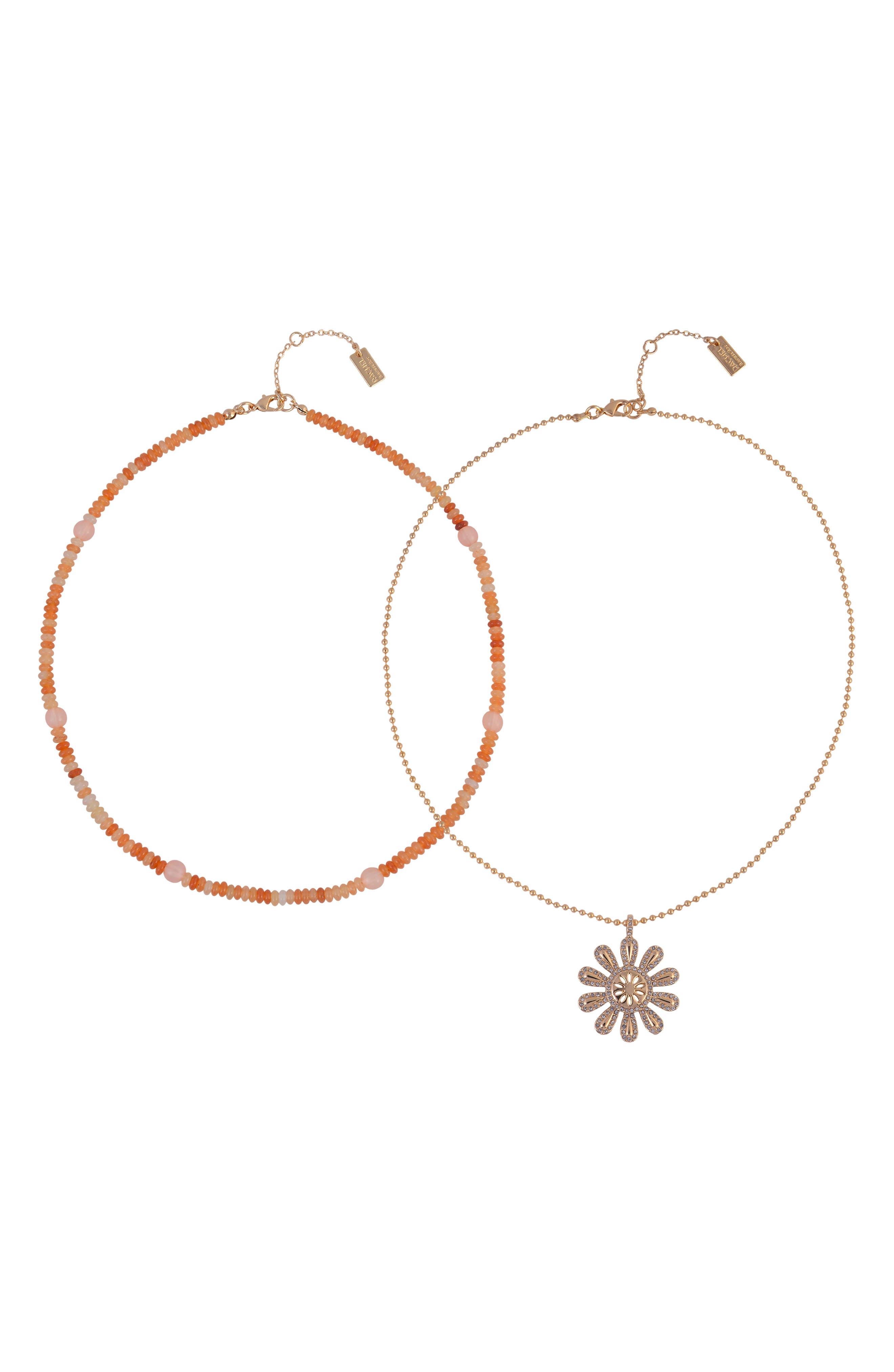 Rachel Roy Set of 2 Assorted Necklaces