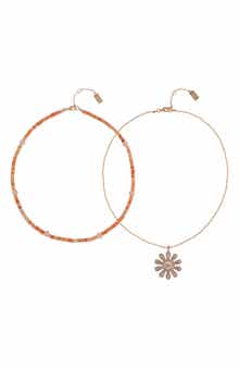 Set of 2 Assorted Necklaces