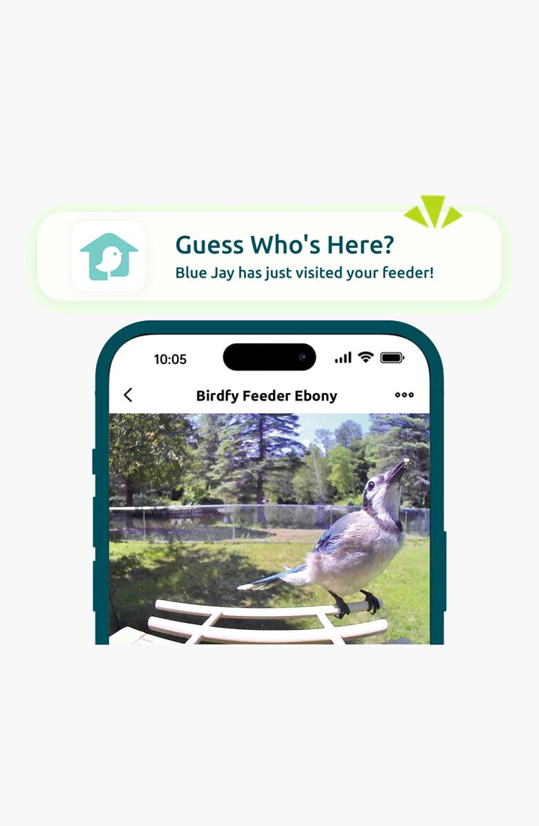 Birdfy Ebony Lite Wooden Smart Bird Feeder, Alternate, color, Beige