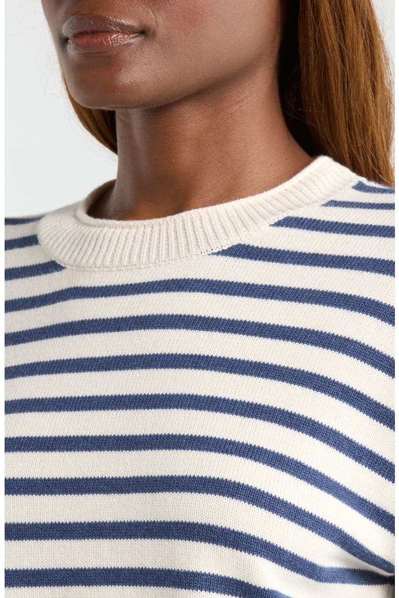 Suki Stripe Cotton Rollneck Sweater, Alternate, color, NAVY STRIPE