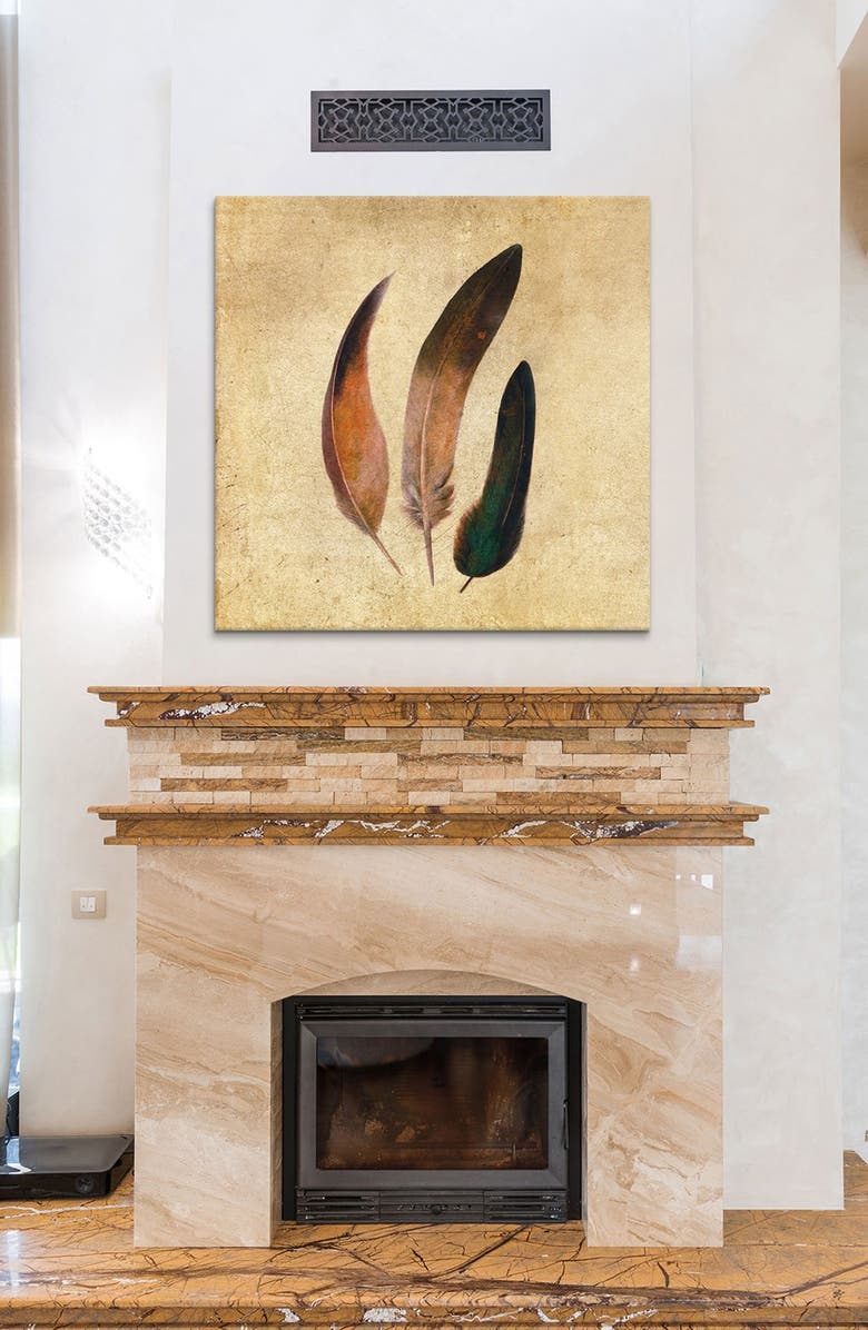 iCanvas 'Three Feathers Square - Terry Fan' Giclée Print Canvas Art, Alternate, color,