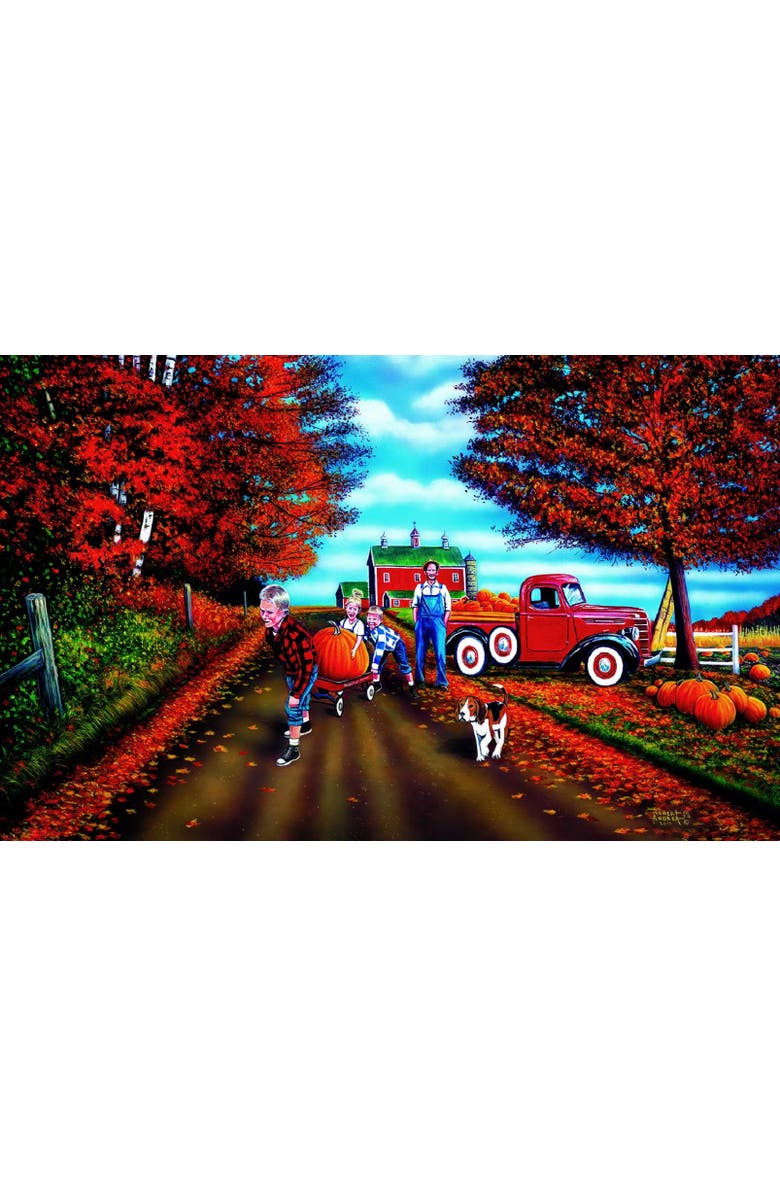 Sunsout Pick of the Patch 300 piece Jigsaw Puzzle for Adults, Main, color, Multicolor