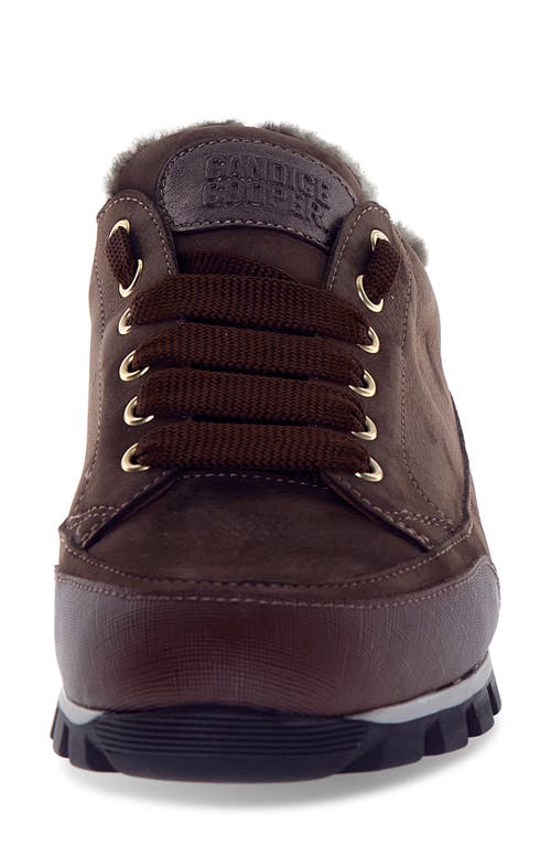 Candice Cooper Runlo Genuine Shearling Lined Sneaker In Brown