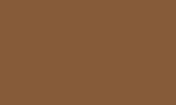 knee length dresses for ladies The Havana Vegan Leather Mini Dress in Timber | S
