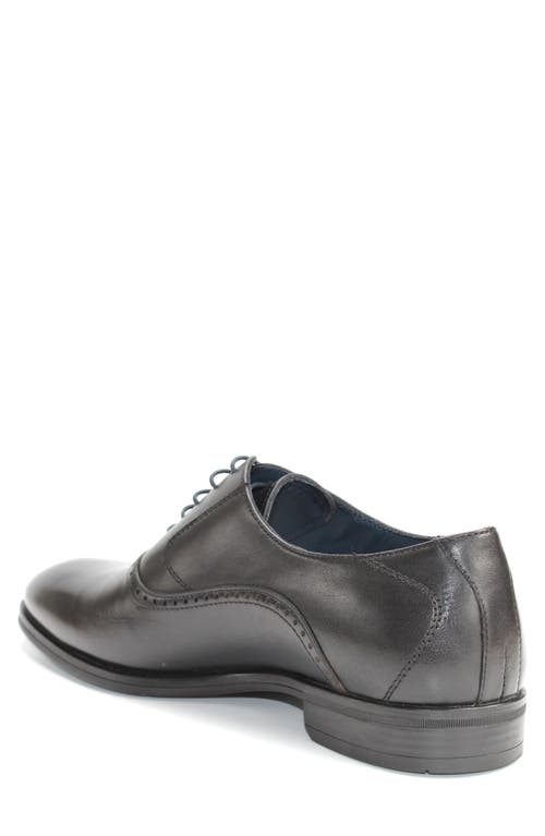 Vellapais Bristol Plain Toe Oxford In Black