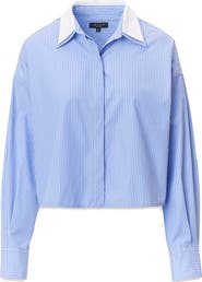 rag & bone Marin Stripe Cotton Button-Up Shirt