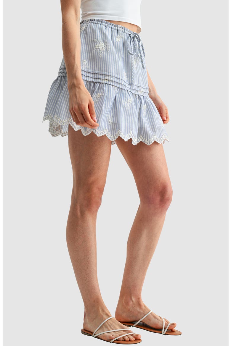 Embroidered Pintuck Cotton Skirt, Alternate, color, BLUE STRIPE