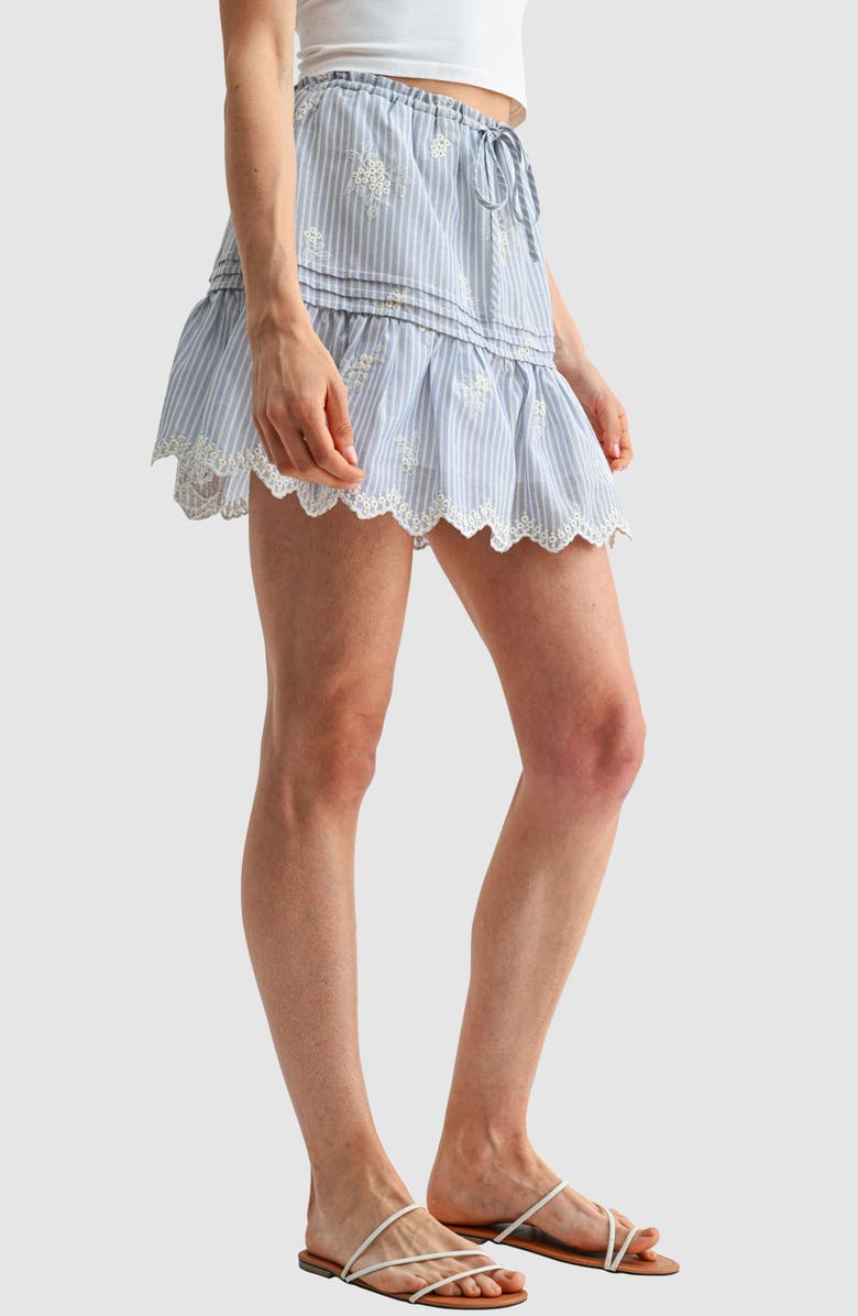 All in Favor Embroidered Pintuck Cotton Skirt, Alternate, color, Blue Stripe