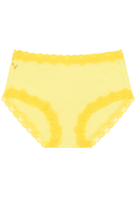 Soft Silk Briefs